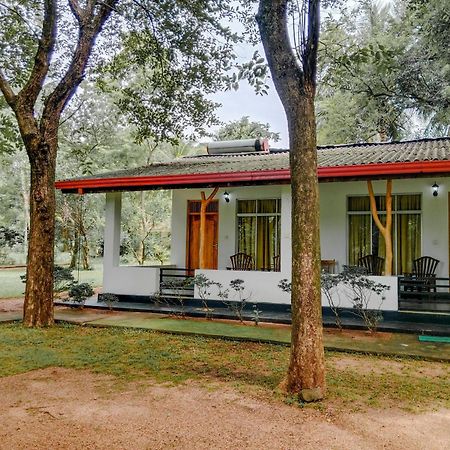 Bed and Breakfast Banana Rest Сигирия Экстерьер фото