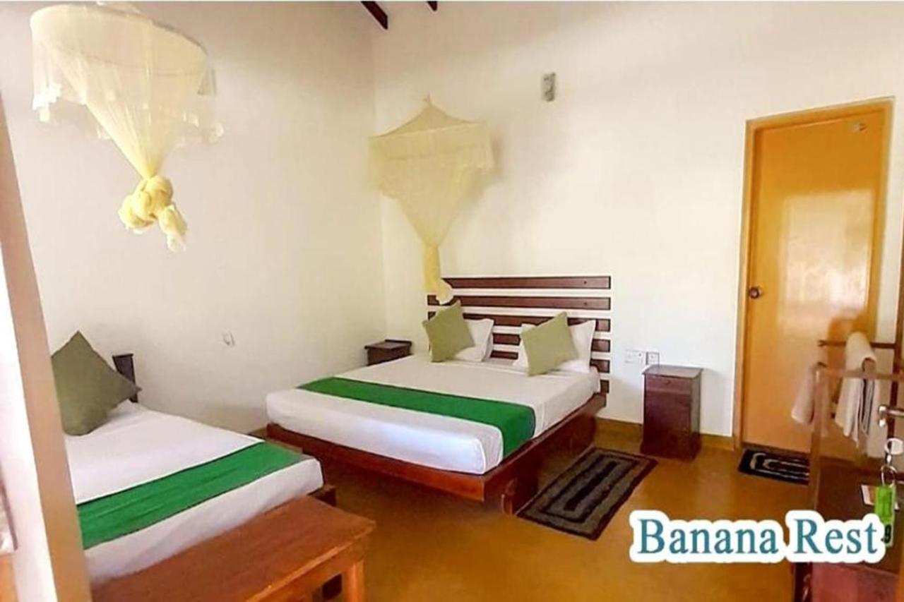 Bed and Breakfast Banana Rest Сигирия Экстерьер фото