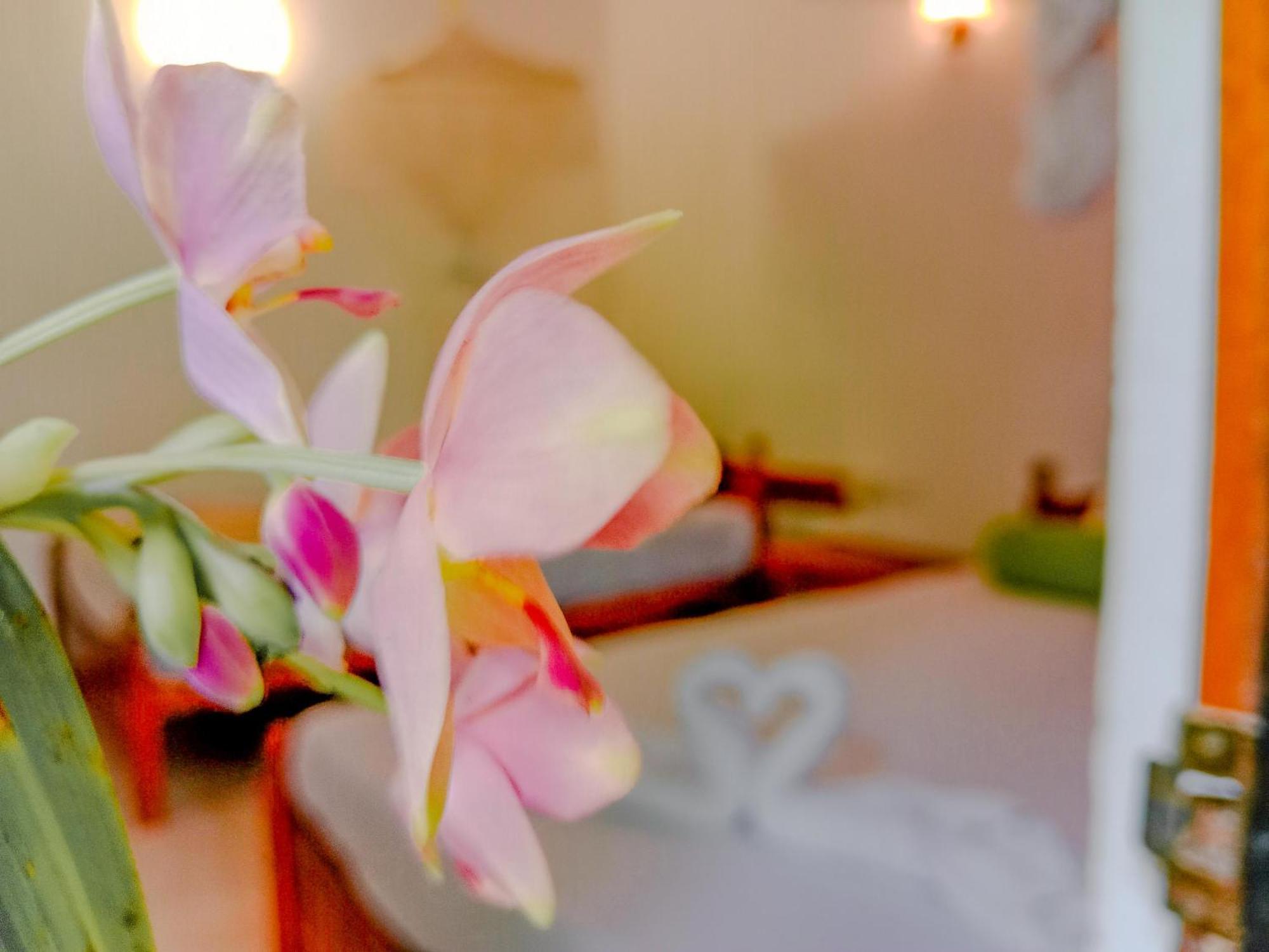 Bed and Breakfast Banana Rest Сигирия Экстерьер фото