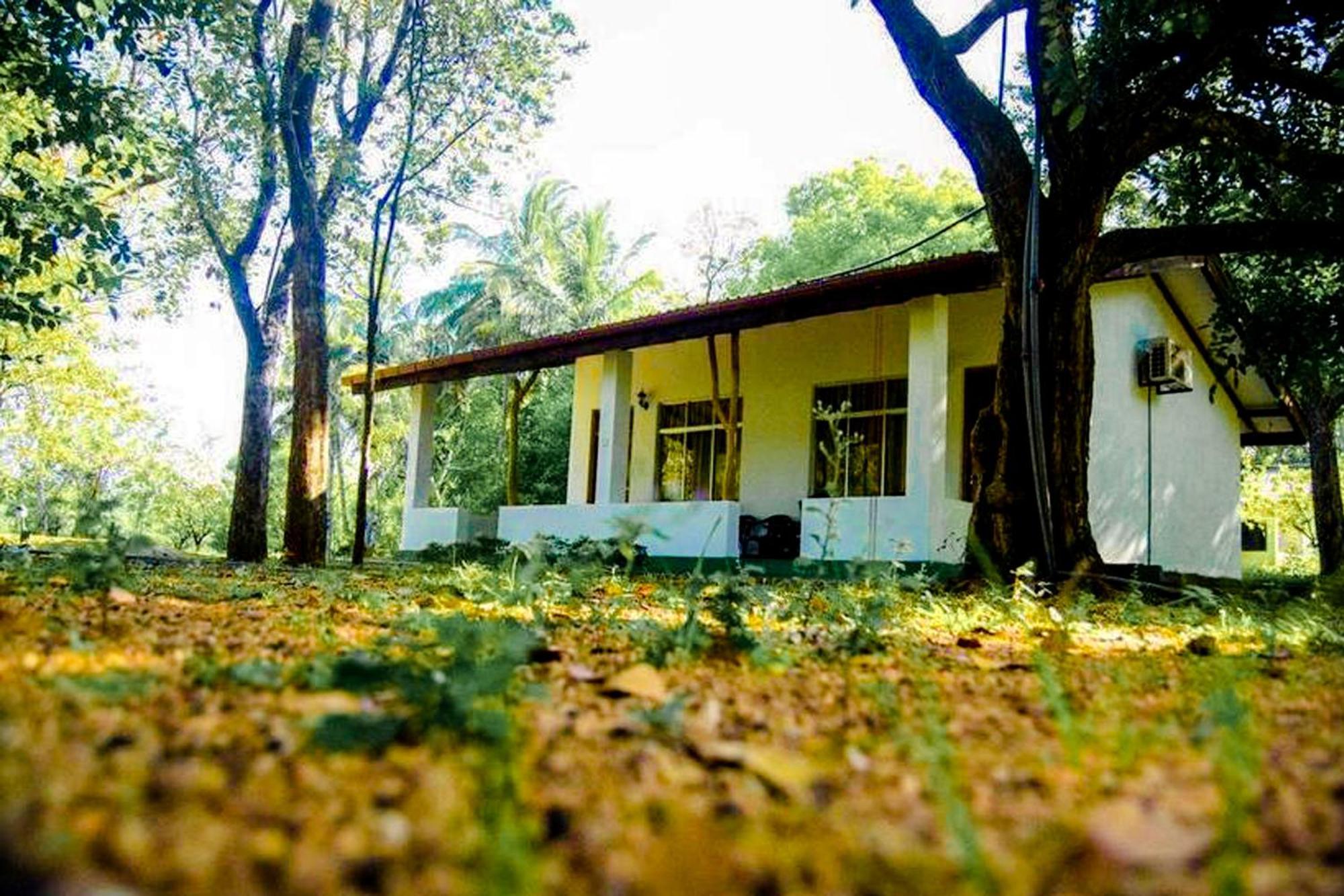 Bed and Breakfast Banana Rest Сигирия Экстерьер фото