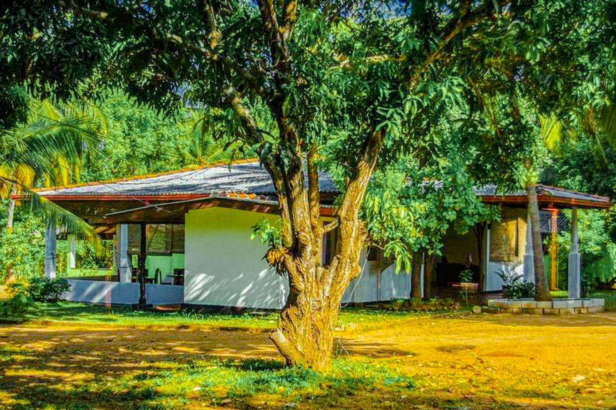 Bed and Breakfast Banana Rest Сигирия Экстерьер фото