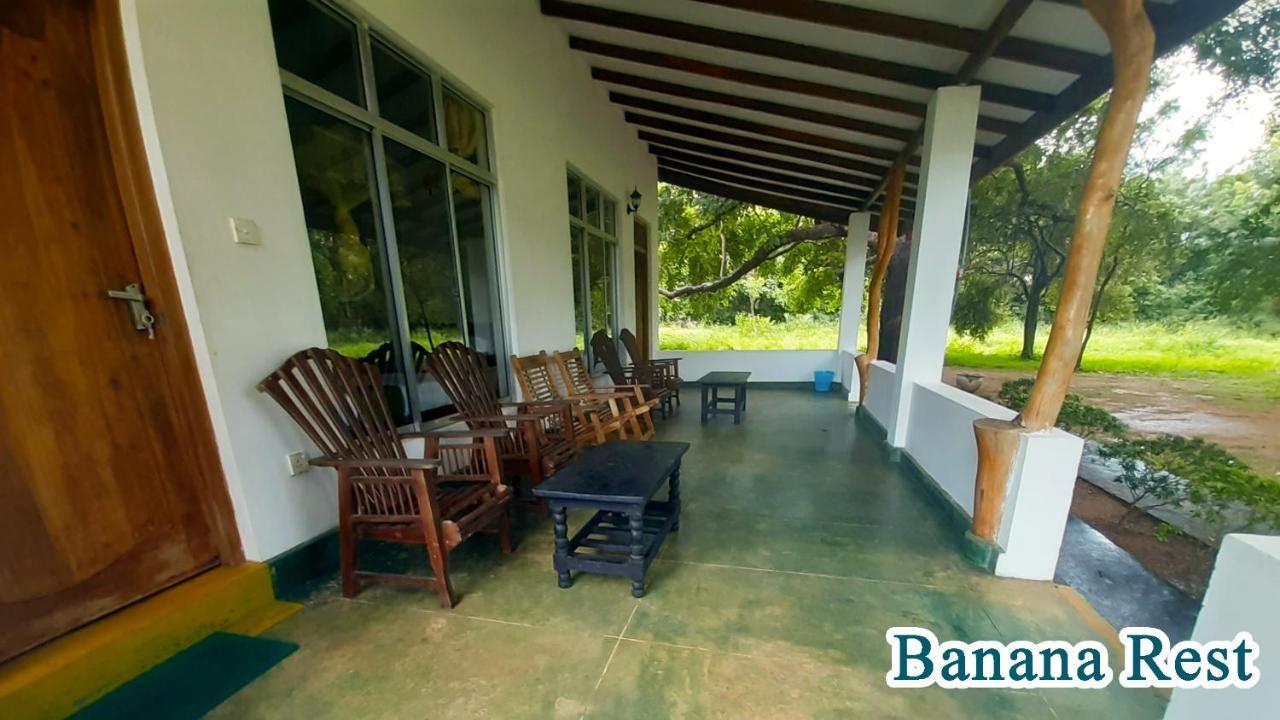 Bed and Breakfast Banana Rest Сигирия Экстерьер фото