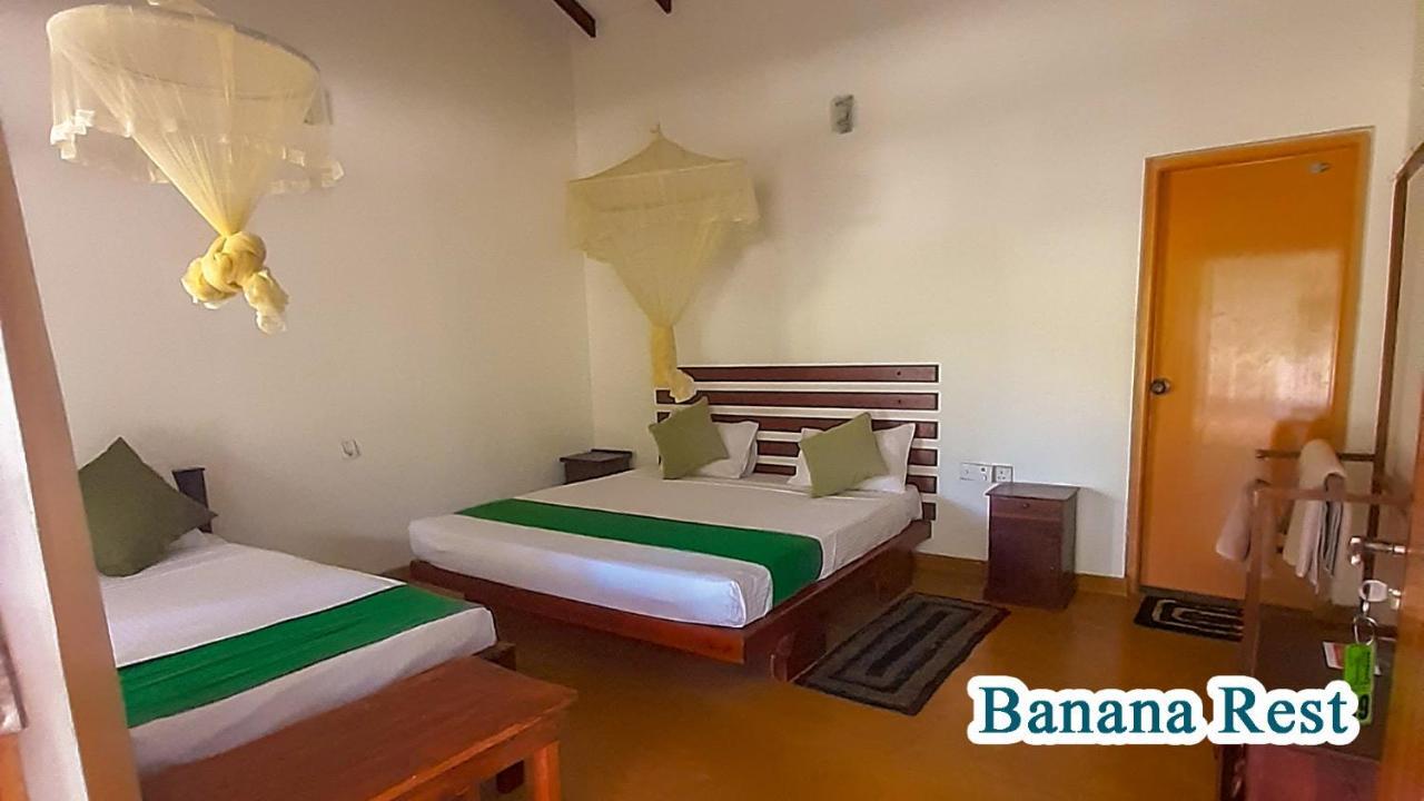 Bed and Breakfast Banana Rest Сигирия Экстерьер фото
